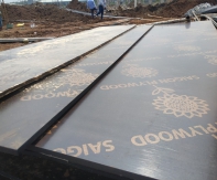 Ván coppha phủ phim trong ngành xây dựng.