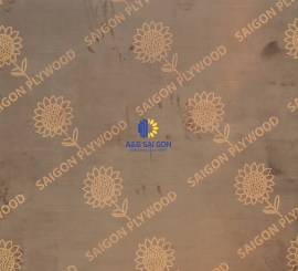 VÁN ÉP PHỦ PHIM A&G SÀI GÒN